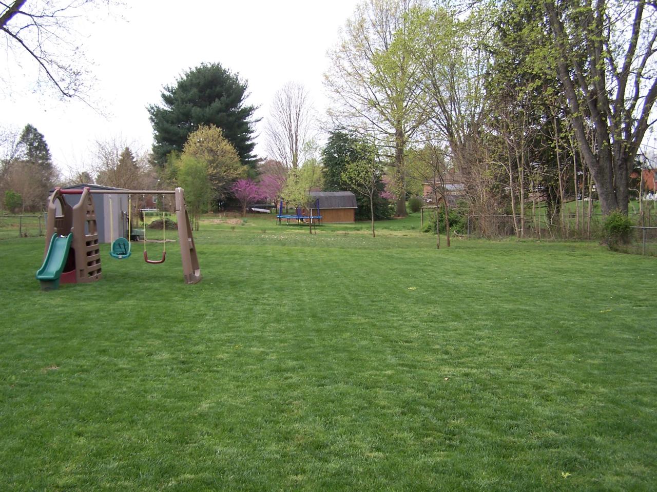 7060 Brookview Road Roanoke, VA 24019 - Photo 14 of 16 yard