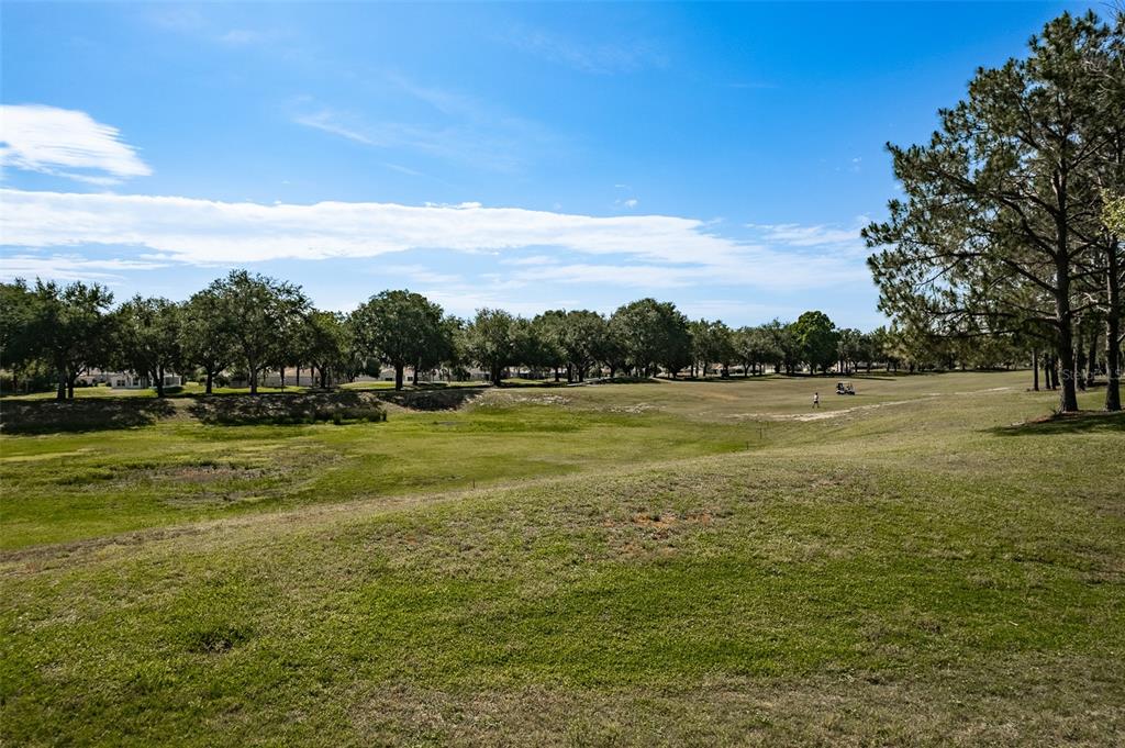 15525 Southwest 14th Avenue Road Ocala, FL 34473 - Photo 65 of 75