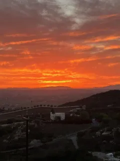 a view of a lake from a yard