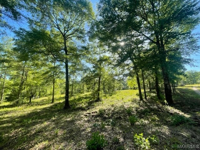 628 Old Elba Road Coffee Springs, AL 36318 - Photo 22 of 32 Gallery Image 22