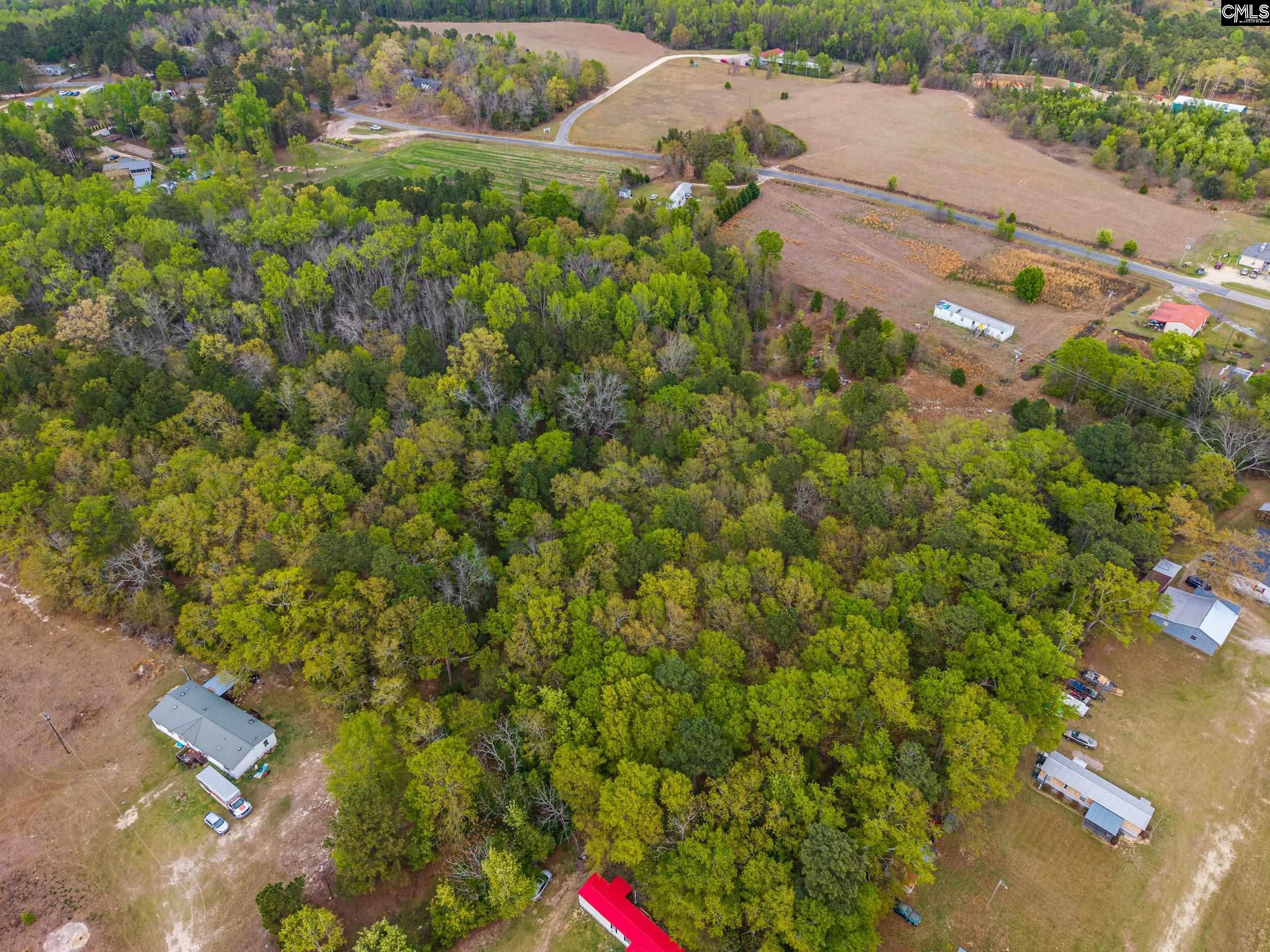173 Schofield Road Gilbert, SC 29054 - Photo 5 of 7