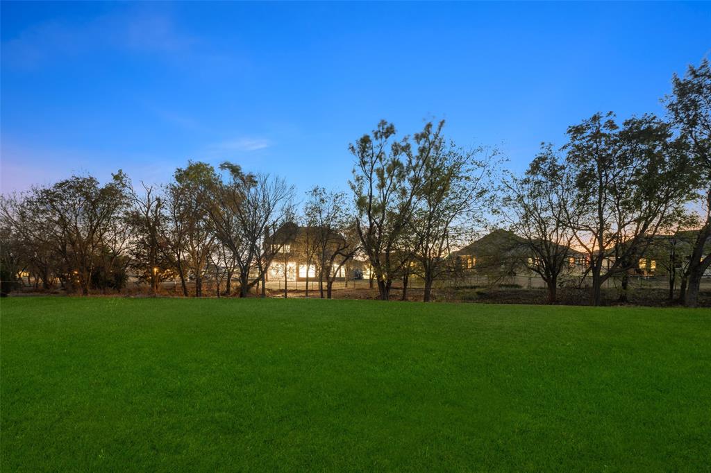 191 Daniel Drive Van Alstyne, TX 75495 - Photo 28 of 30 a view of a trees with a big yard