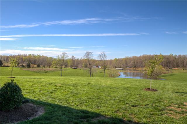 7229 Anderson Road Fairview, TN 37062 - Photo 17 of 20 What a vista! Yes that is a pond!