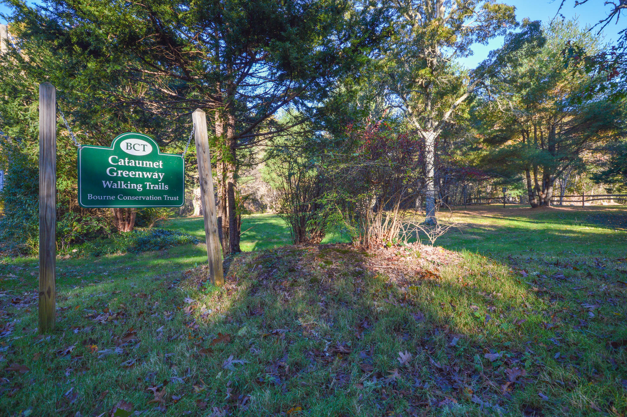 140 Scraggy Neck Road Cataumet, MA 02534 - Photo 34 of 39 a view of a yard with plants and trees