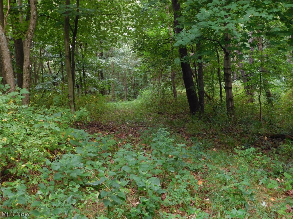Lorric Road Northwest Minerva, OH 44657 - Photo 13 of 34 Gallery Image 13