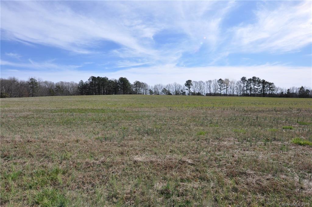 3088 Armenia Road Chester, SC 29706 - Photo 4 of 19 a view of a field with an trees