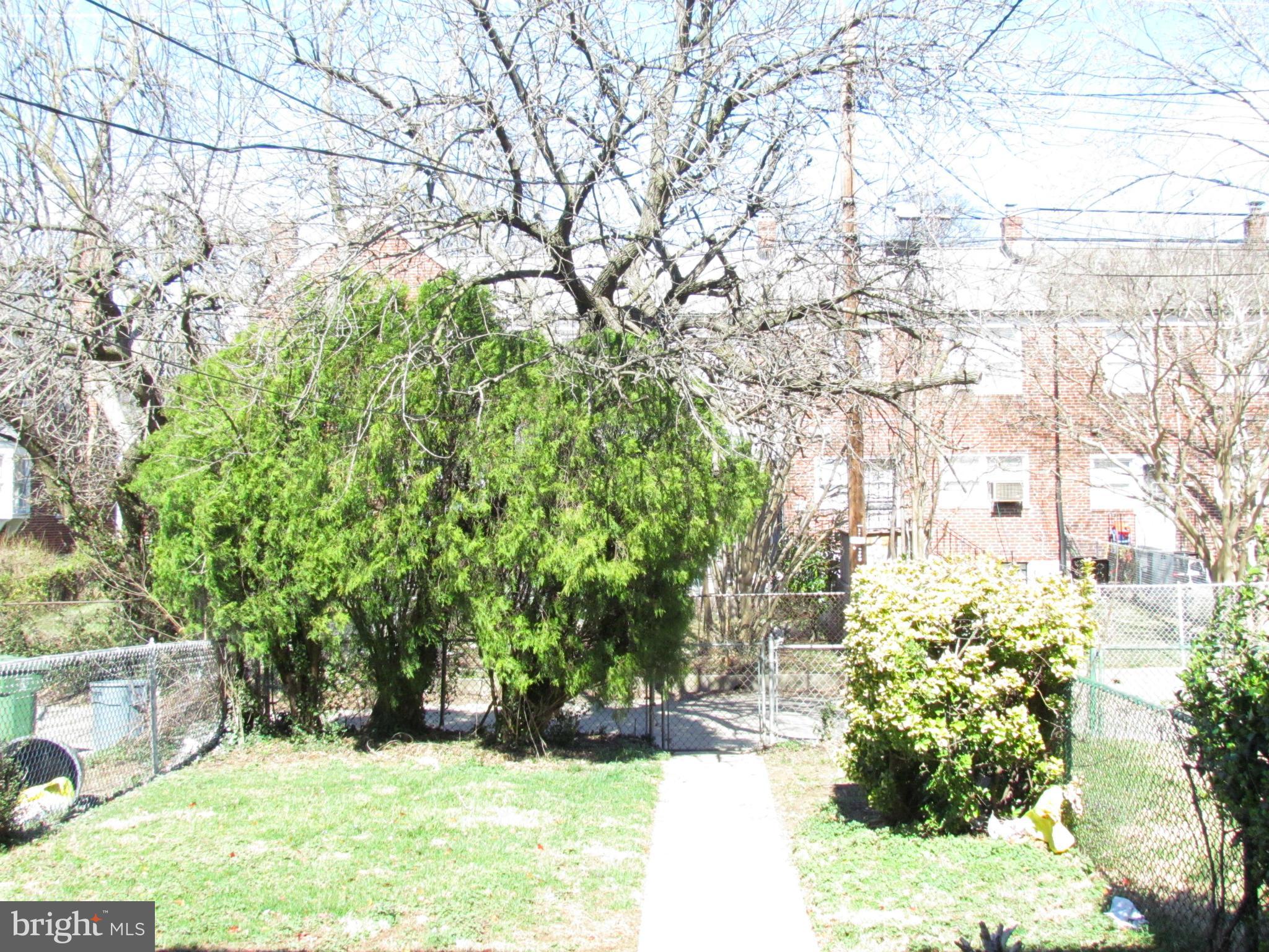 1634 Ingram Road Baltimore, MD 21239 - Photo 20 of 21 a view of yard with large trees