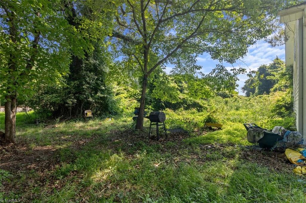 4345 Folger Road Julian, NC 27283 - Photo 35 of 38 Gallery Image 35