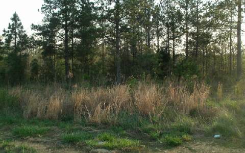 30 Bell Loop Chatsworth, GA 30705 - Photo 1 of 1 Main View