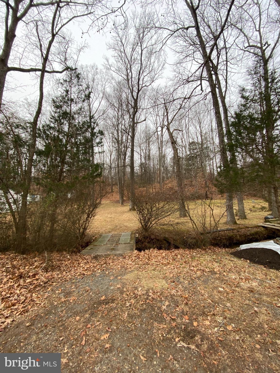 0 Jumping Branch Road Stafford, VA 22554 - Photo 7 of 18 Serene woodland retreat awaits exploration.