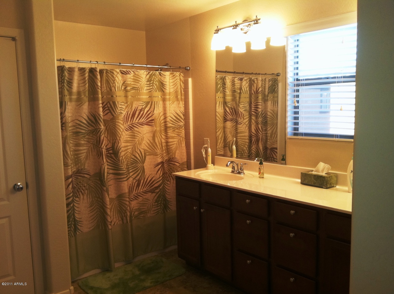 3546 East Milky Way Gilbert, AZ 85295 - Photo 8 of 14 Master Bath