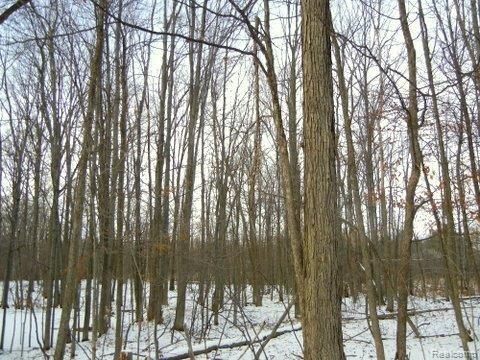 DSCN0313