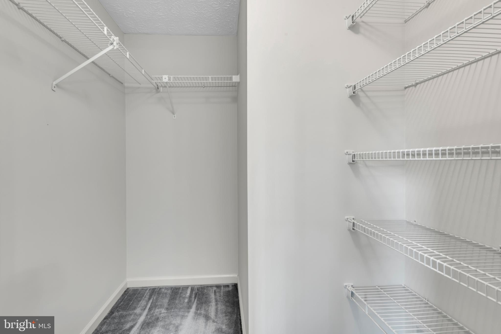 2407 Warm Spring Way Odenton, MD 21113 - Photo 21 of 45 a view of walk in closet with empty racks