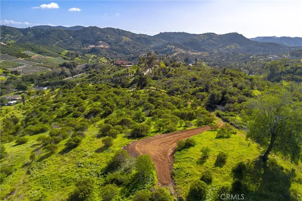 a view of a lush green hillside and a houses