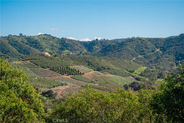 a view of a dry field with trees in background