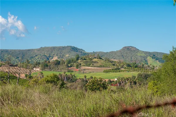a view of a garden from a patio
