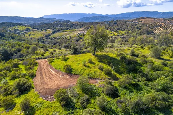 a view of a lush green hillside and a houses