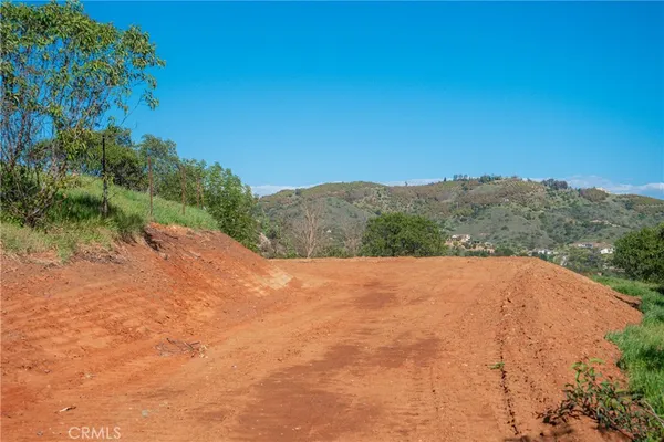 a view of a dry yard with trees in the background
