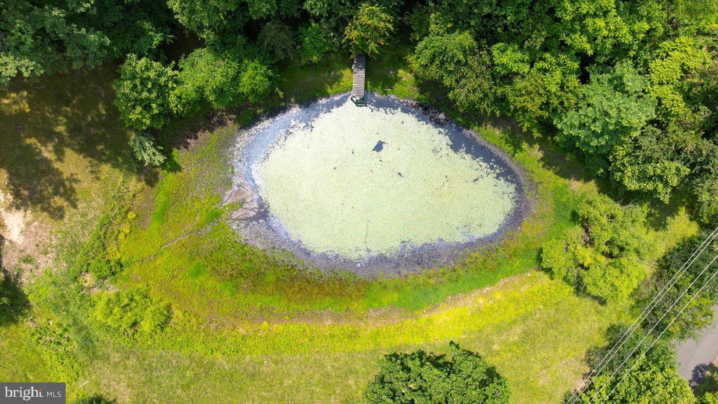 274 Aaron Mountain Road Castleton, VA 22716 - Photo 46 of 76 Pond number One.