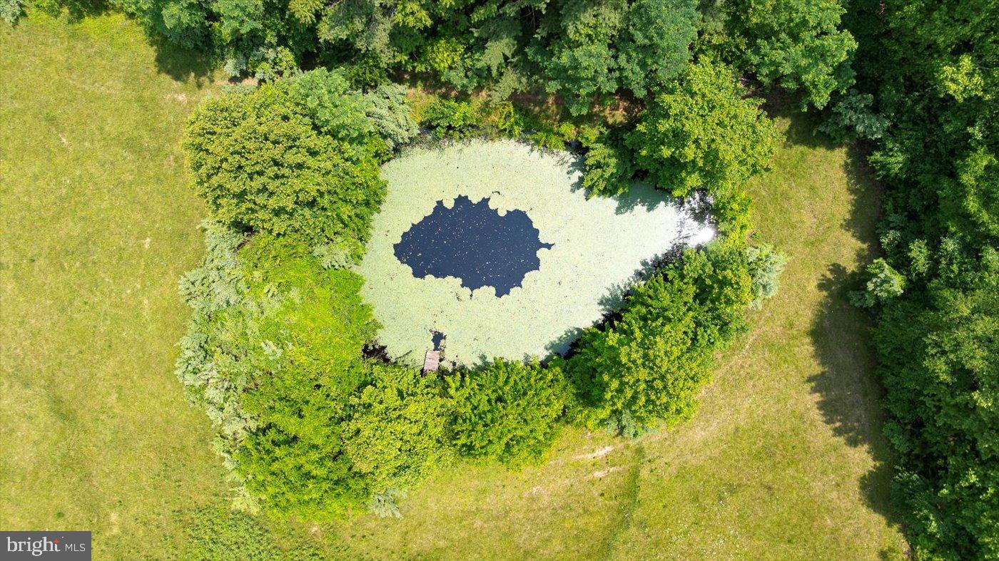 274 Aaron Mountain Road Castleton, VA 22716 - Photo 59 of 76 Pond #2