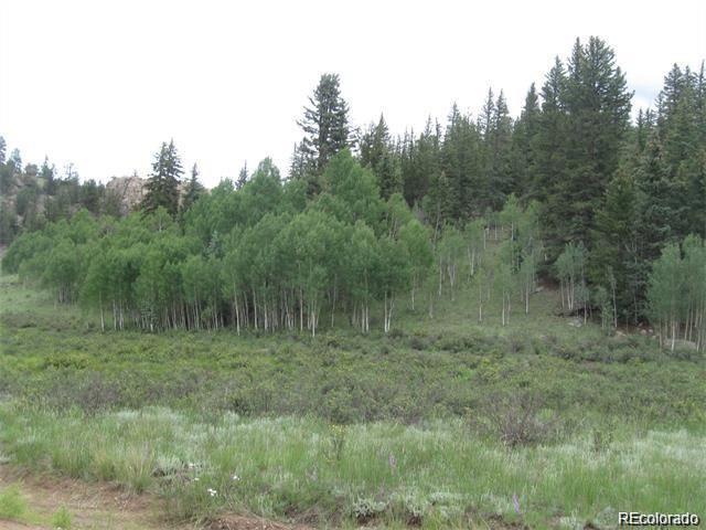 2092 Stagestop Road Jefferson, CO 80456 - Photo 3 of 9