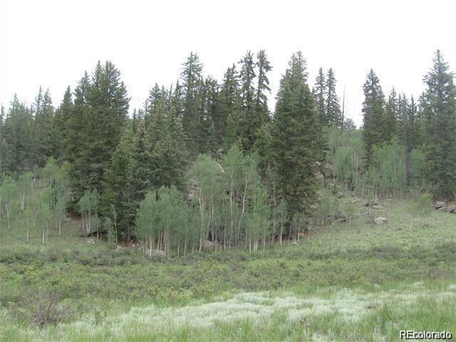 2092 Stagestop Road Jefferson, CO 80456 - Photo 4 of 9