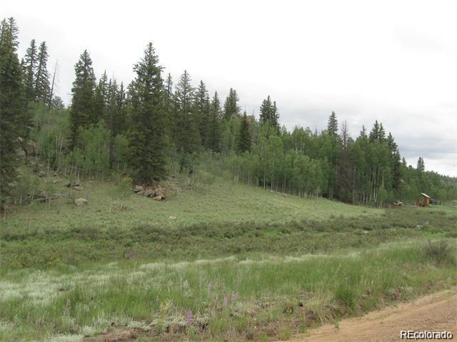 2092 Stagestop Road Jefferson, CO 80456 - Photo 6 of 9