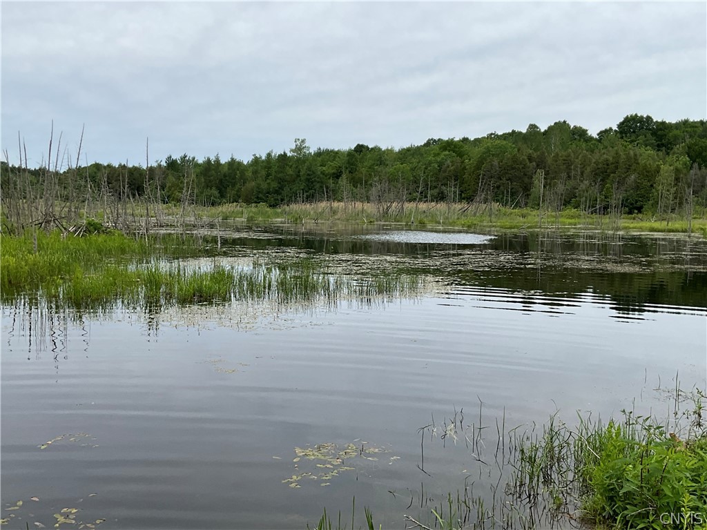 0 County Rte 35 Canton, NY 13617 - Photo 2 of 33