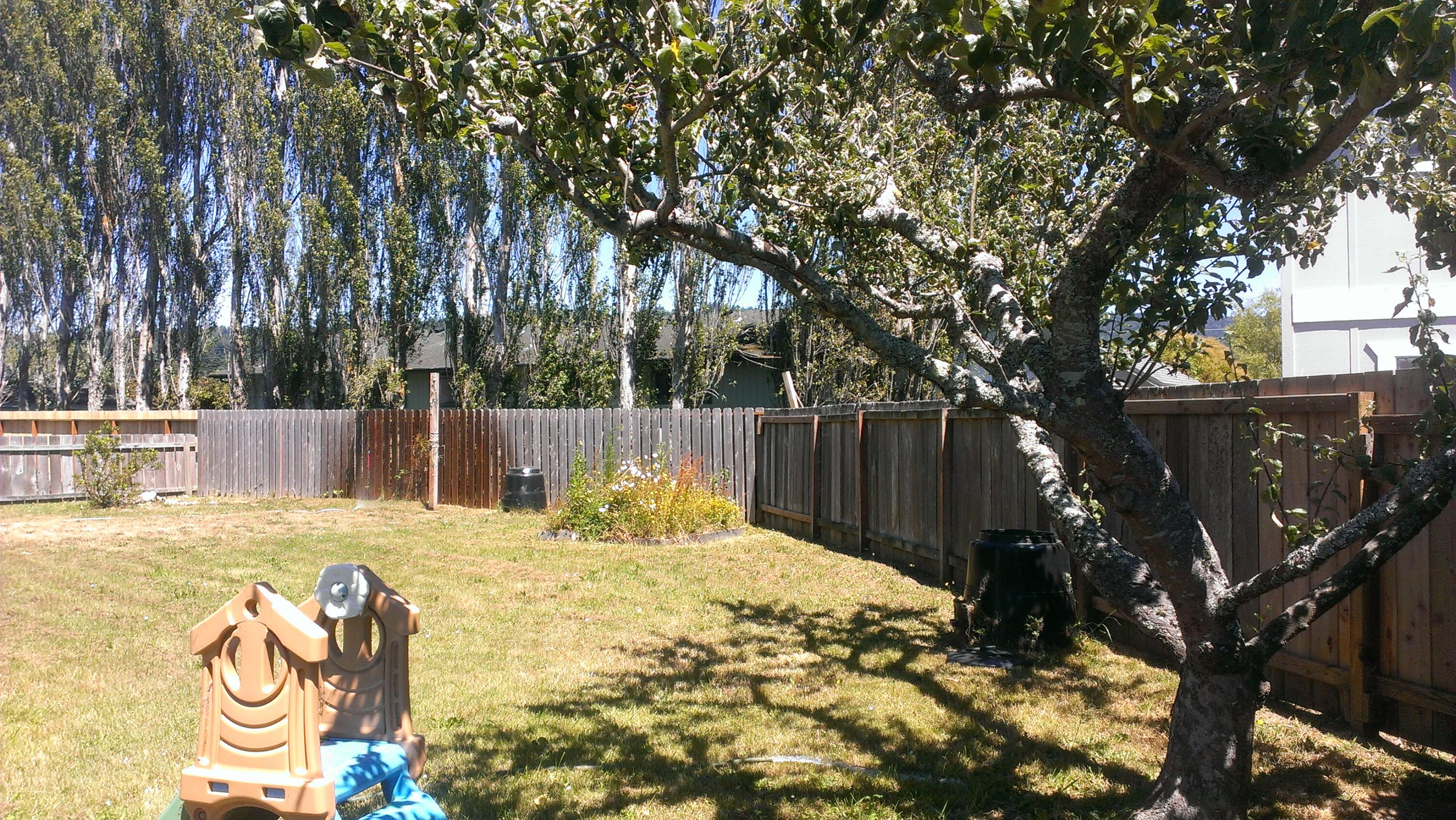 20 G Street Arcata, CA 95521 - Photo 2 of 11