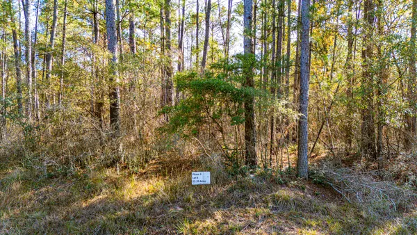 $481,385 | 38 Sportsman Retreat Road, Onalaska, TX 77360
