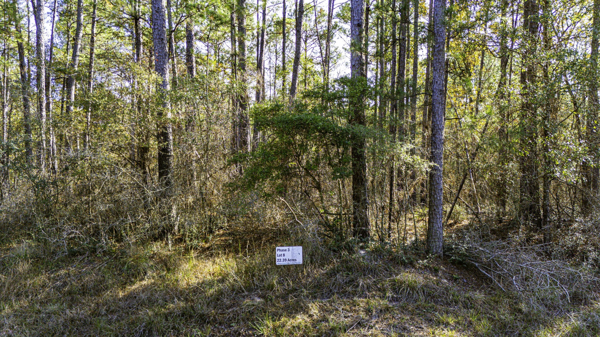 38 Sportsman Retreat Road Onalaska, TX 77360 - Photo 9 of 10