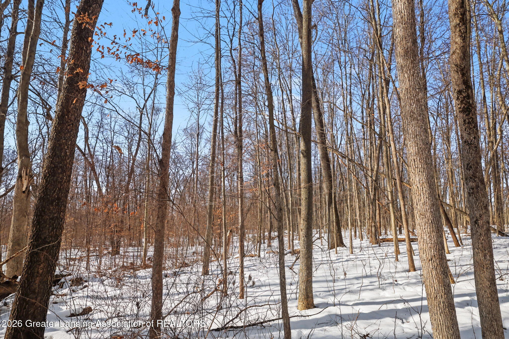 0 27 27 Mile Road Albion, MI 49224 - Photo 20 of 47 15-web-or-mls-IMG_8668