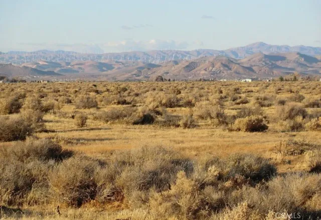 a view of a lush green field with mountains in the background