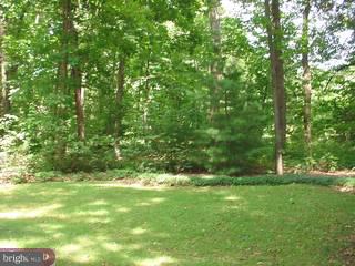 341 Portzer Road Quakertown, PA 18951 - Photo 5 of 6 Gallery Image 5