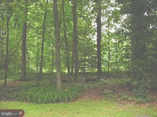 341 Portzer Road Quakertown, PA 18951 - Photo 6 of 6 Gallery Image 6