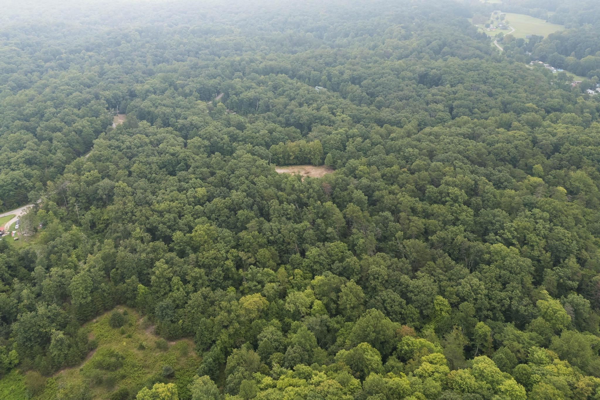 240 Nelson Branch Road Clay City, KY 40312 - Photo 10 of 23 DJI_20260818230923_0035_D