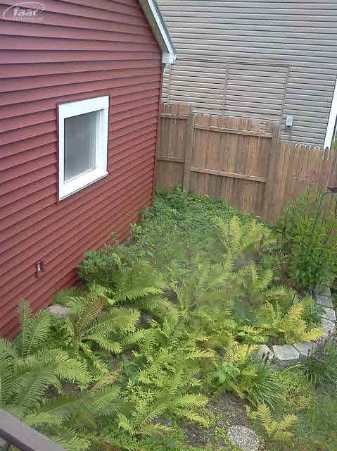 1255 East Mt Morris Road Mount Morris, MI 48458 - Photo 10 of 25 20418485-9.JPG