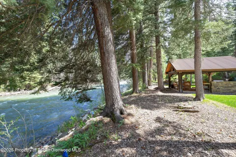 a view of a park with a tree