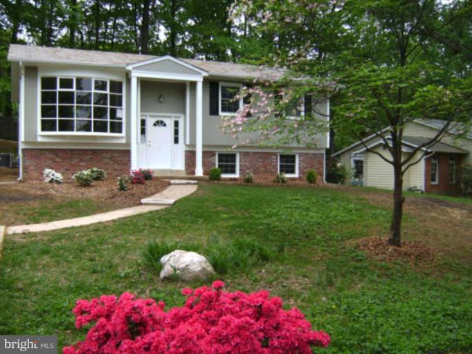 8117 Blairton Road Springfield, VA 22152 - Photo 1 of 1 Exterior (Main)