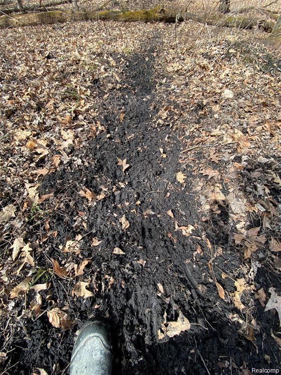 0 Iosco Road Webberville, MI 48892 - Photo 22 of 24