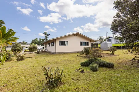 a view of a yard with plants and large trees