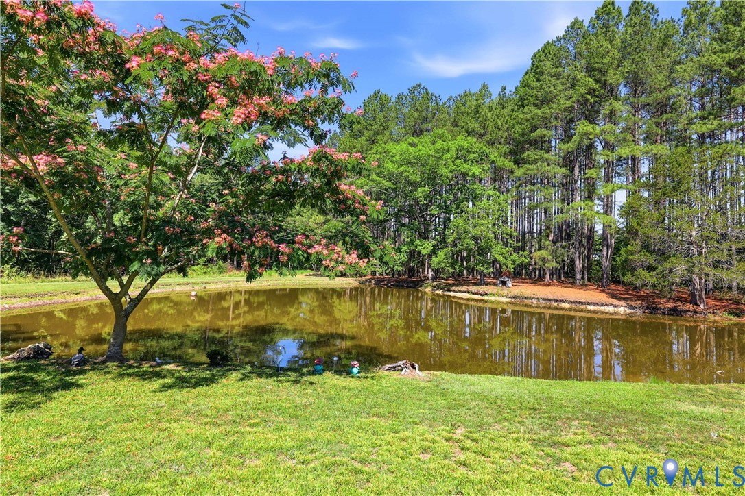 967 Ampthill Road Cartersville, VA 23027 - Photo 18 of 43 Expansive private pond surrounded by mature evergr