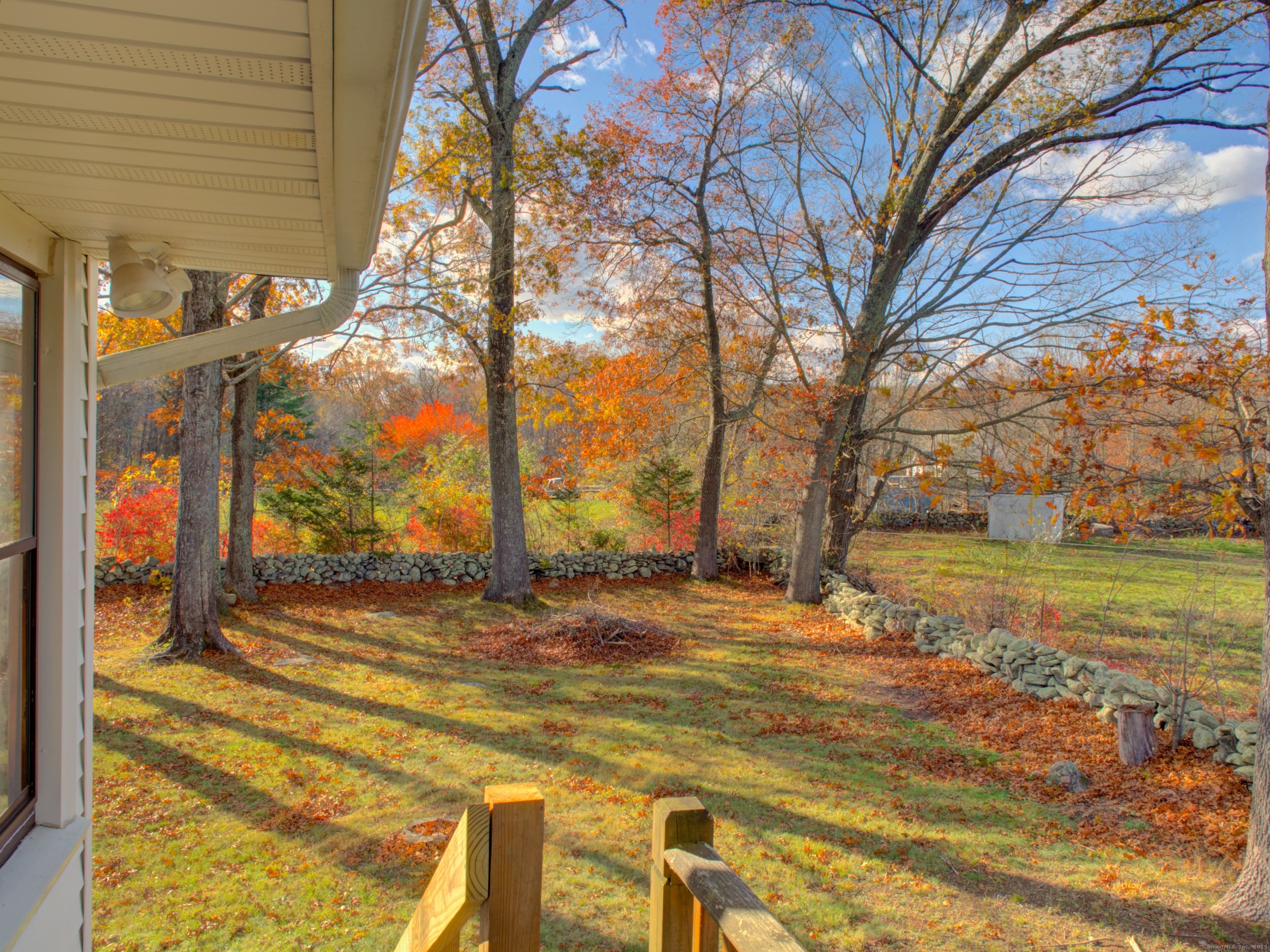 5 Sachem Lane Ledyard, CT 06339 - Photo 28 of 36 a view of a yard with palm trees
