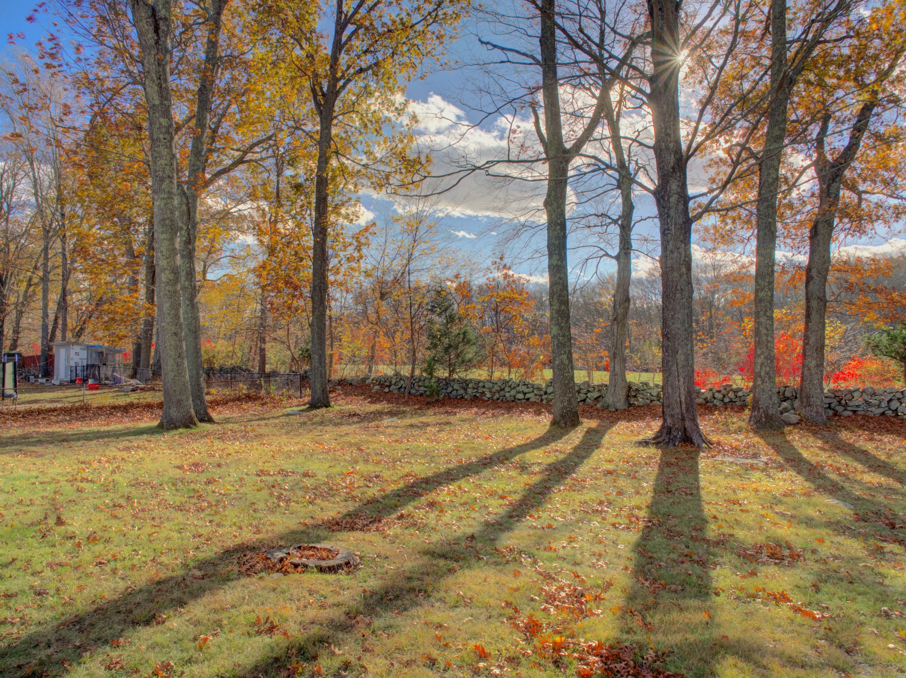 5 Sachem Lane Ledyard, CT 06339 - Photo 30 of 36 a view of a yard with trees