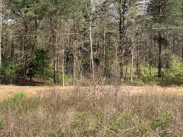 0 Old Liberty Road Easley, SC 29640 - Photo 1 of 8