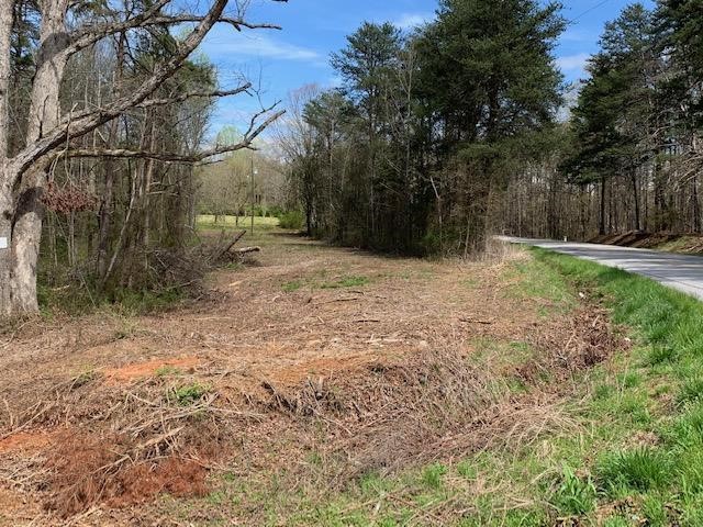 0 Old Liberty Road Easley, SC 29640 - Photo 2 of 8