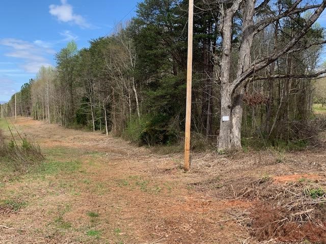0 Old Liberty Road Easley, SC 29640 - Photo 4 of 8