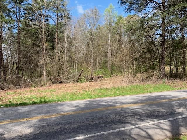 0 Old Liberty Road Easley, SC 29640 - Photo 8 of 8
