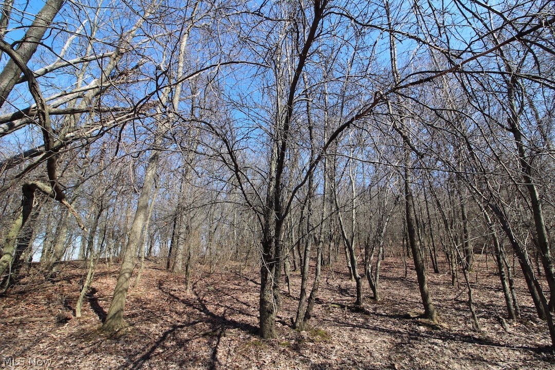 145 State Route Woodsfield, OH 43793 - Photo 12 of 31