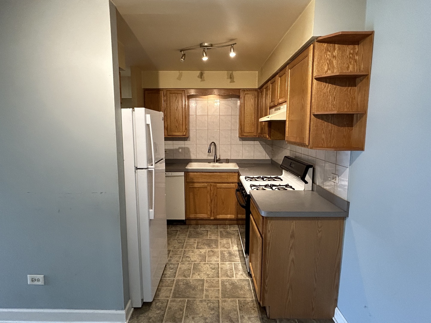 10324 Ridgeland Avenue, Unit 205 Chicago Ridge, IL 60415 - Photo 6 of 20